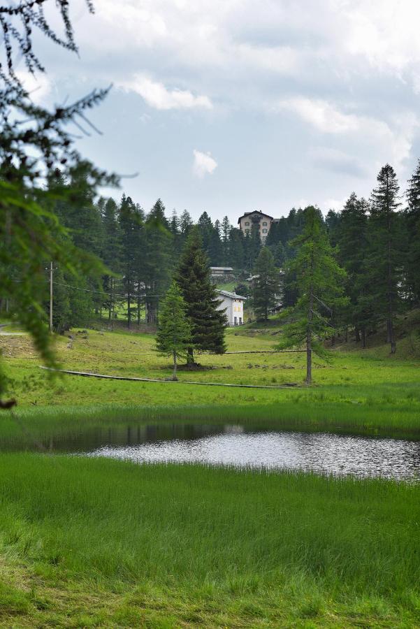 Albergo Casa Alpina San Luigi Campodolcino Exteriér fotografie